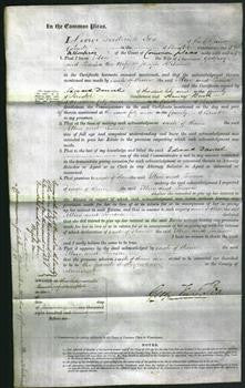 Court of Common Pleas - Ellen Godfrey and Louisa Mitchell-Original Ancestry