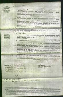 Court of Common Pleas - Fanny Sarah Longbourne-Original Ancestry