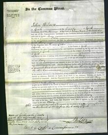 Court of Common Pleas - Mary Little-Original Ancestry