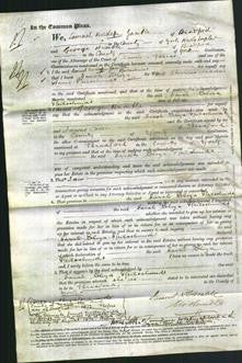 Court of Common Pleas - Sarah Eliza Efeilschmidt-Original Ancestry