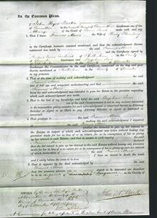 Court of Common Pleas - Frances Maria Blumberg-Original Ancestry