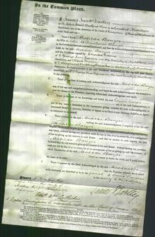 Court of Common Pleas - Matilda Banger-Original Ancestry