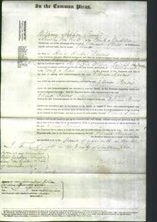 Court of Common Pleas - Ellinor Stone Berens-Original Ancestry