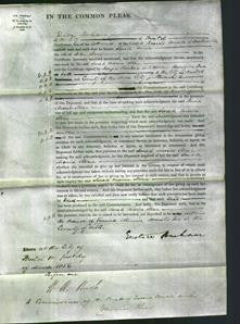 Court of Common Pleas - Sarah Maria Stone-Original Ancestry