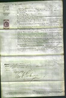 Court of Common Pleas - Eliza Louisa Steere-Original Ancestry