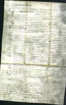Court of Common Pleas - Elizabeth Guilding and Anne Meadows-Original Ancestry