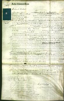 Court of Common Pleas - Elizabeth Birkett and Sarah Hewetson-Original Ancestry