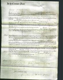 Court of Common Pleas - Sarah Birkett-Original Ancestry