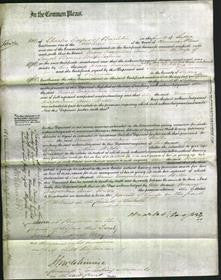 Court of Common Pleas - Mary Magdelene Ann Wilks-Original Ancestry