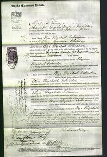 Court of Common Pleas - Eliza Elizabeth Johnston-Original Ancestry