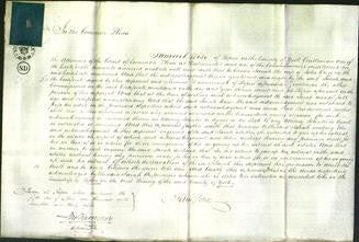 Court of Common Pleas - Sarah Gregg-Original Ancestry