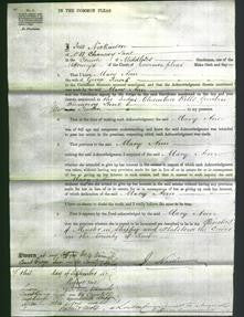 Court of Common Pleas - Mary Ann Knock-Original Ancestry