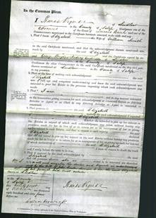 Court of Common Pleas - Elizabeth Smith-Original Ancestry