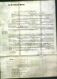 Court of Common Pleas - Elizabeth Morgan-Original Ancestry