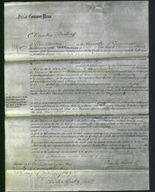 Court of Common Pleas - Mary Moore Lewes-Original Ancestry