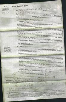 Court of Common Pleas - Sarah Horsfall-Original Ancestry