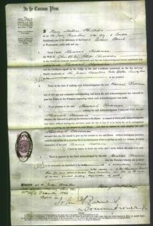 Court of Common Pleas - Hannah Chessman-Original Ancestry