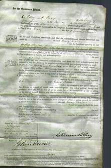 Court of Common Pleas - Mary Francis-Original Ancestry