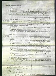 Court of Common Pleas - Juliana Georgina Lumb-Original Ancestry
