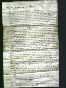 Court of Common Pleas - Mary Harris Draper-Original Ancestry