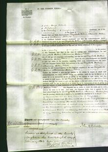 Court of Common Pleas - Elizabeth Hellin Helen Roberts-Original Ancestry