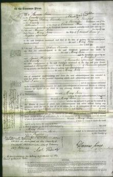 Court of Common Pleas - Mary Jones-Original Ancestry