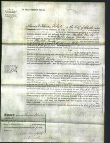 Court of Common Pleas - Elizabeth Landy-Original Ancestry