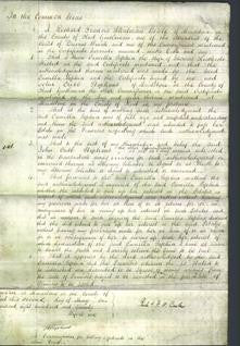 Court of Common Pleas - Camilla Sophia Stisted-Original Ancestry