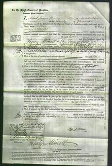 Court of Common Pleas - Esther Nelmes-Original Ancestry