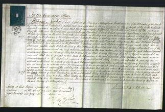 Court of Common Pleas - Elizabeth Selby-Original Ancestry