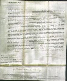 Court of Common Pleas - Elizabeth Chester Atkinson-Original Ancestry