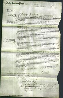 Court of Common Pleas - Amelia Mary Haswell-Original Ancestry