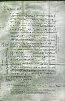 Court of Common Pleas - Elizabeth Dawson and Joanna Key Thomlinson-Original Ancestry