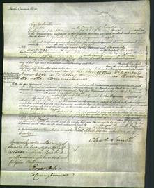 Court of Common Pleas - Elizabeth Rozzell-Original Ancestry