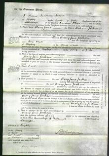 Court of Common Pleas - Mary Jane Jackson-Original Ancestry