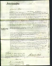 Court of Common Pleas - Susanna Clayton-Original Ancestry