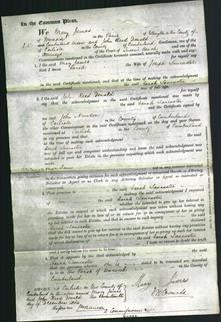 Court of Common Pleas - Sarah Lancaster-Original Ancestry