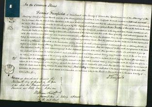 Court of Common Pleas - Ann Gardiner-Original Ancestry