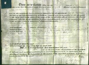 Deed by Married Women - Sarah Allen-Original Ancestry