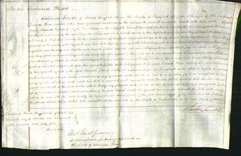 Court of Common Pleas - Hannah Collins-Original Ancestry
