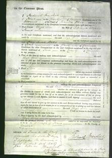 Court of Common Pleas - Eliza Ann James-Original Ancestry