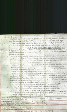 Court of Common Pleas - Sarah Cauch-Original Ancestry