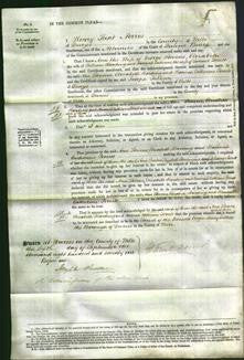 Court of Common Pleas - Ann Stevens, Elizabeth Harding and Hannah Catherine Perrett-Original Ancestry