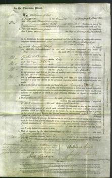 Court of Common Pleas - Ann Salladine-Original Ancestry