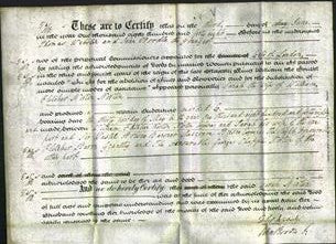 Deed by Married Women - Sarah Norton-Original Ancestry