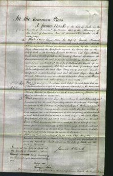 Court of Common Pleas - Eliza Mary Slade-Original Ancestry