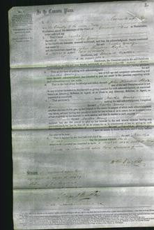 Court of Common Pleas - Martha Young-Original Ancestry