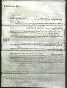 Court of Common Pleas - Maria Wollaston-Original Ancestry