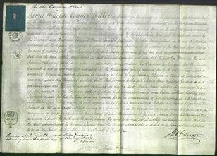 Court of Common Pleas - Maria Bone-Original Ancestry