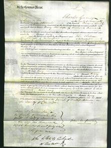 Court of Common Pleas - Mary Marrack-Original Ancestry